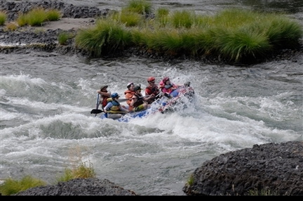 13070009